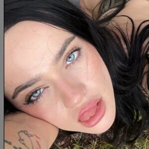 Katze_Steiner